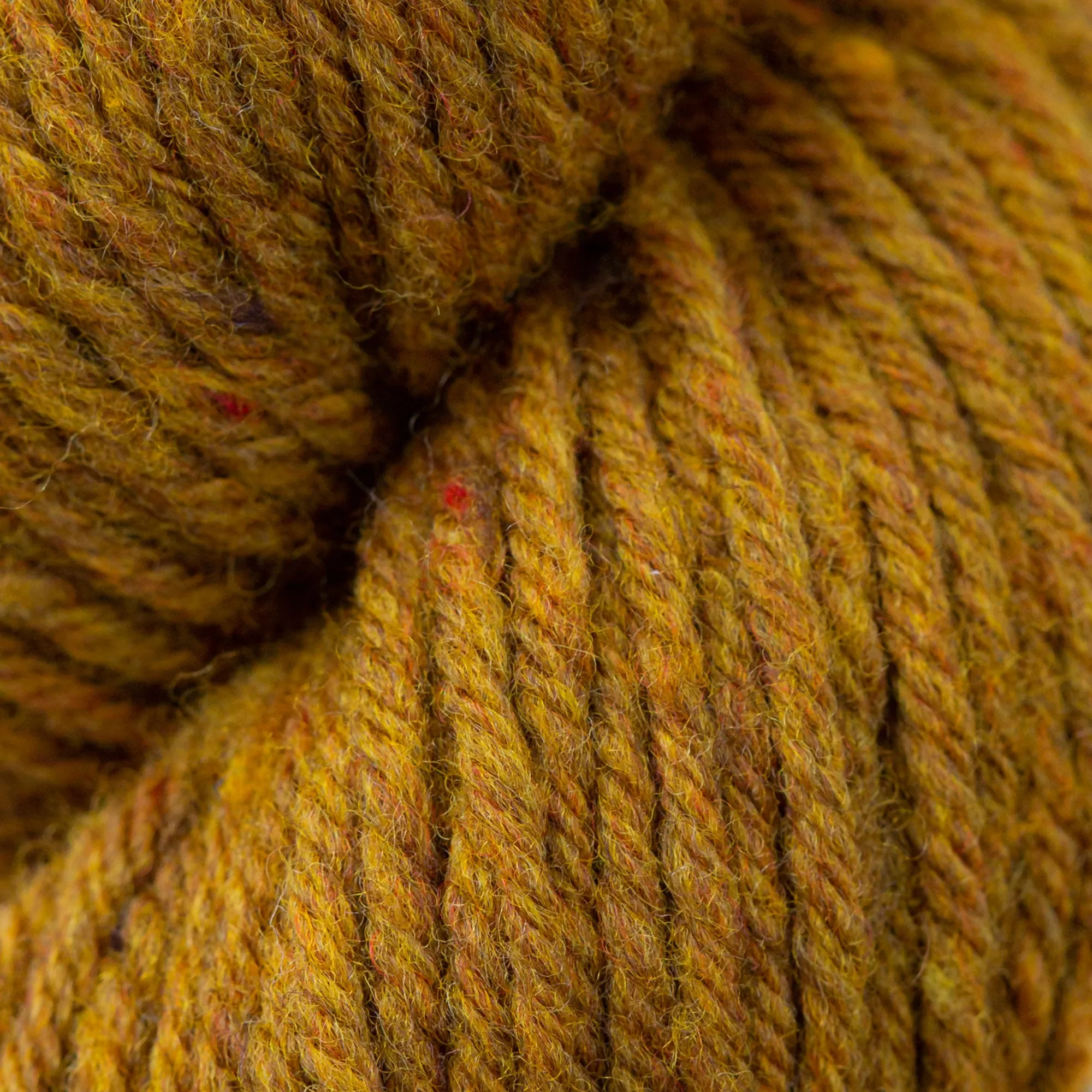 Imbue Worsted