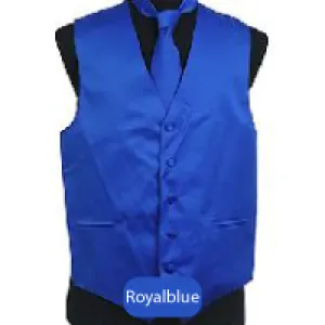 Royal blue Mens Solid Vest