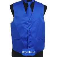 Royal blue Mens Solid Vest